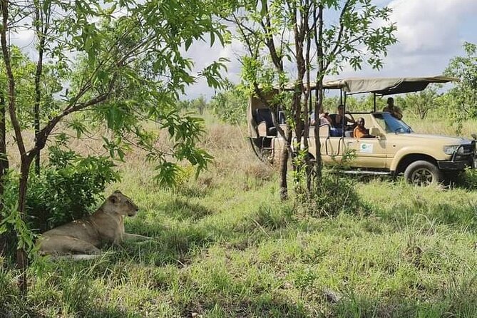 3 Days Mikumi National Park From Zanzibar or Dar es salaam - The guides and the private format
