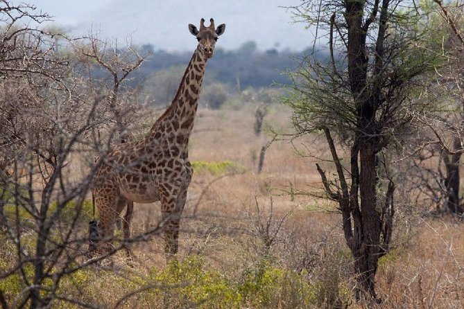 3 Days Mikumi National Park From Zanzibar or Dar es salaam - What the $870 price means