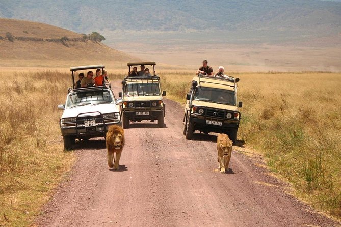 3 Days of Camping Bliss in Serengeti and Ngorongoro Crater - Camping, food, and the practical comfort level