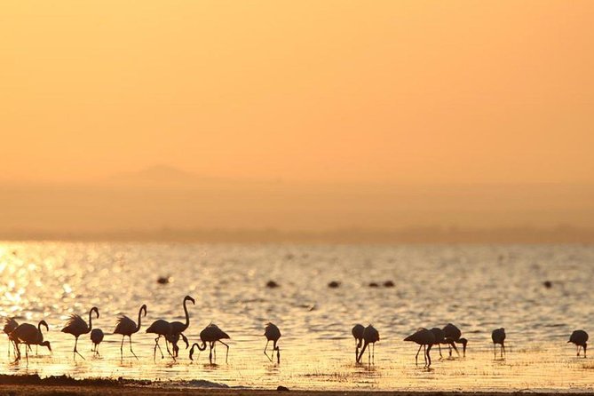 3 Days of Camping Bliss in Serengeti and Ngorongoro Crater - Why the small group and guide matter