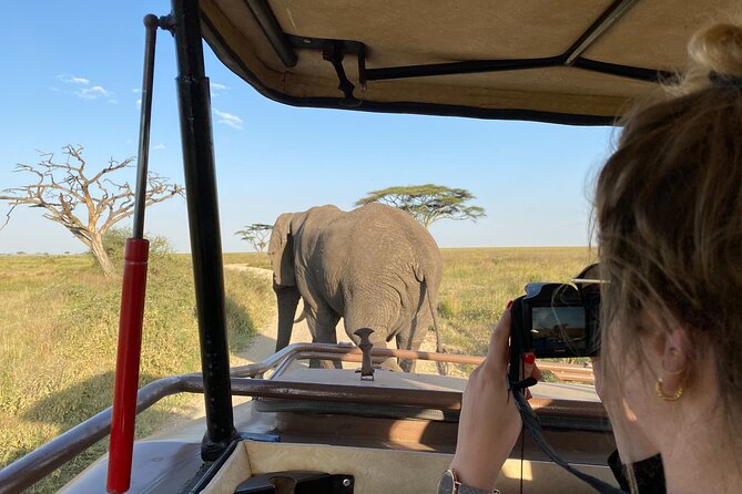 3 Days Private Budget Safari to Tarangire and Ngorongoro Crater - Why this short safari works
