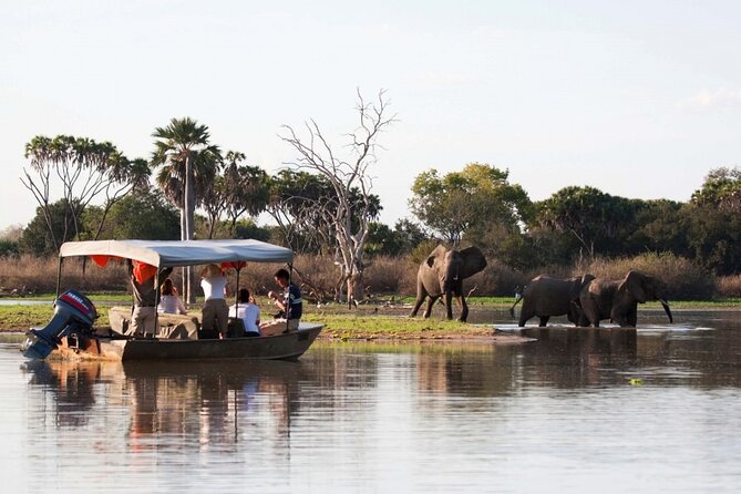 3-Days Private Nyerere NP Game Drive and Boat safari tour - Key points to know before booking
