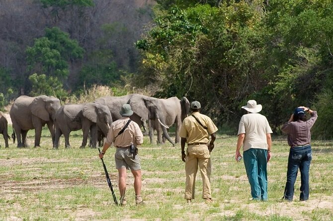 3-Days Private Nyerere NP Game Drive and Boat safari tour - Why Nyerere works well for a three-day safari