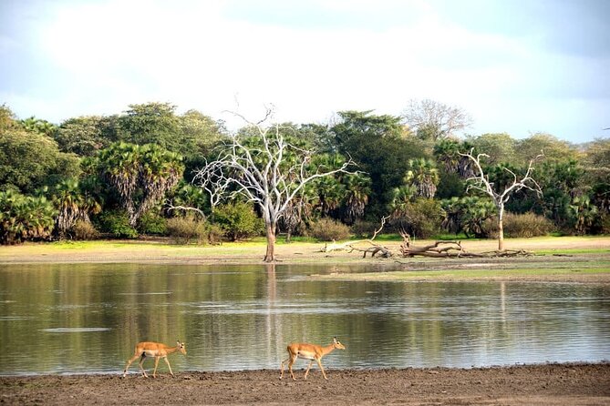 3-Days Private Nyerere NP Game Drive and Boat safari tour - Day one: Arrival and the Rufiji River