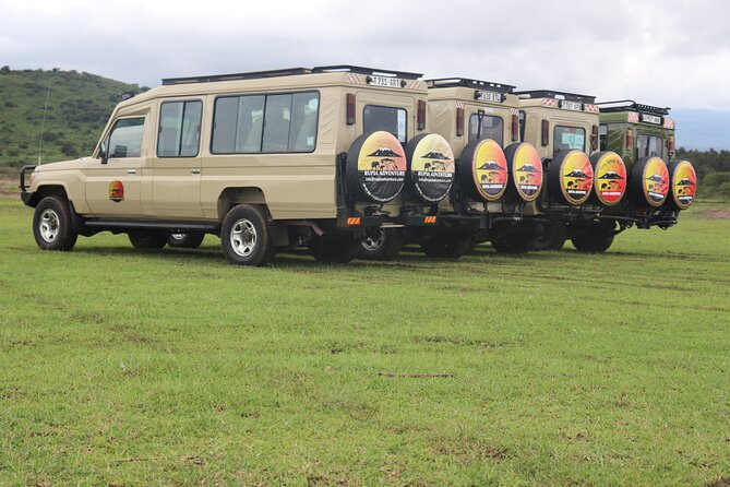3 Days Private Safari - manyara, Ngorongoro & Tarangire - What the guide can add to the experience