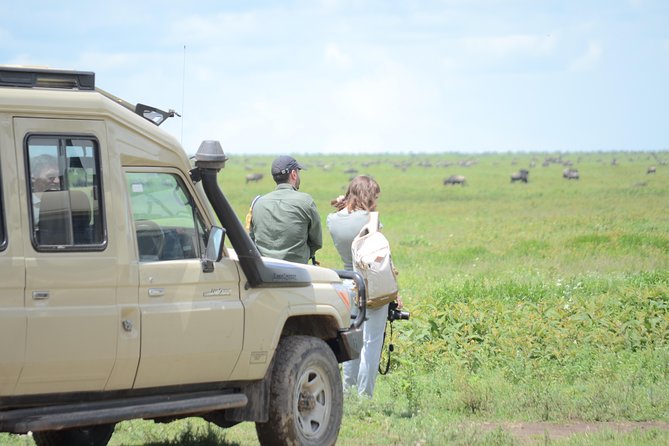 3 Days private safari Tarangire ,Ngorongroro crater &Manyara - Why this three-day route works