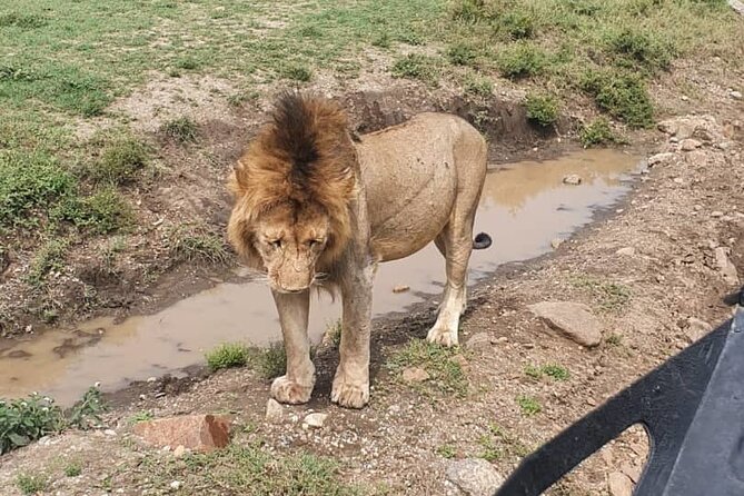 3 days safari in North- Ngorongoro, Tarangire, Mt. Oldeani - A three-day route with more variety than a standard safari