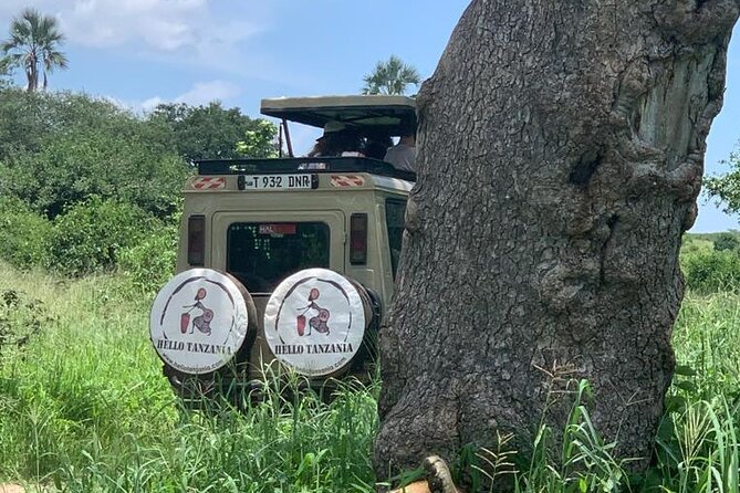 3 days safari in North- Ngorongoro, Tarangire, Mt. Oldeani - What is included for $828.24