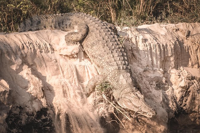 3 Days Safari - Mikumi National Park - Who will enjoy this safari most