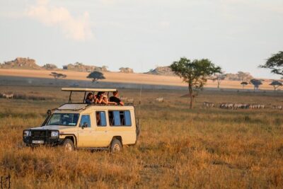 3 Days Safari Ngorongoro Crater and Serengeti National Park