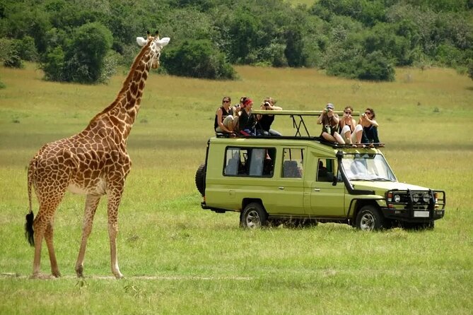 3 Days Safari Ngorongoro Crater and Serengeti National Park - Camping and meals: what the $810 covers