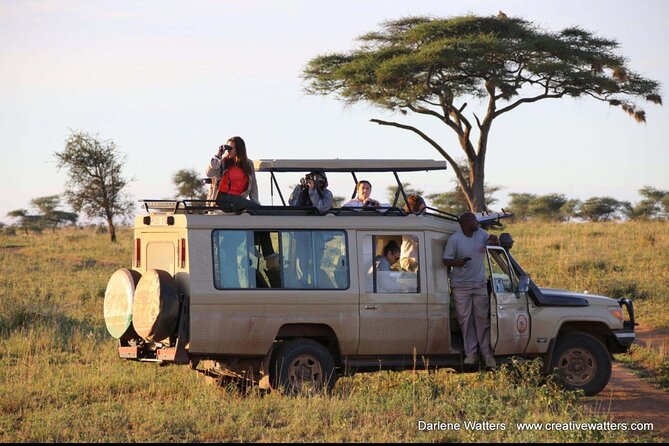 3 Days Safari Ngorongoro Crater and Serengeti National Park - Who should book this safari