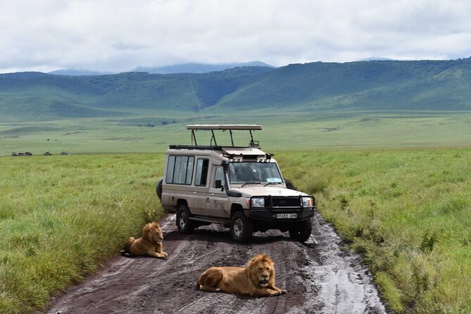 3 Days Safari Ngorongoro Crater and Serengeti National Park - Booking details worth checking first