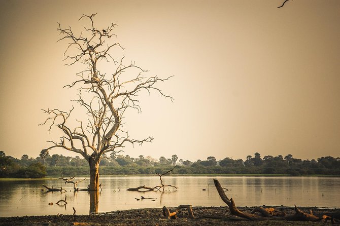 3 Days Safari - Selous Game Reserve - Key points at a glance