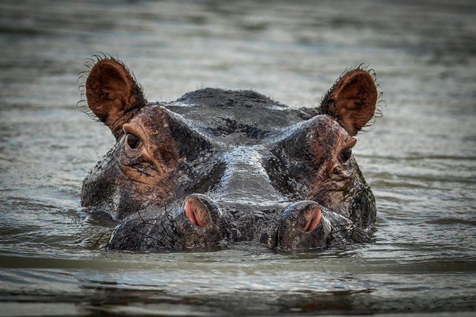 3 Days Safari - Selous Game Reserve - Why Selous works for a short safari