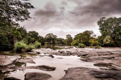 3 Days Safari – Selous Game Reserve