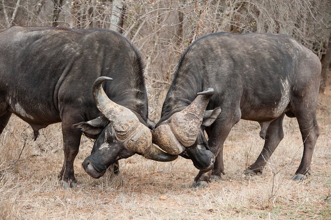 3 Days Safari Serengeti & Ngorongoro Crater - Lunch, packing, and the move toward Ngorongoro