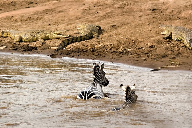 3 Days Safari Serengeti & Ngorongoro Crater - Day three: the 6:15 am descent into Ngorongoro Crater