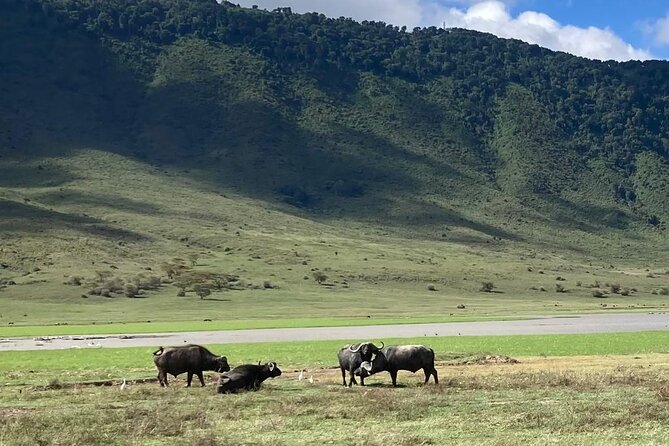 3 Days Safari Serengeti NP and Ngorongoro Crater - What to pack and confirm before departure