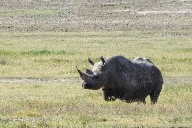 3 Days Safari Serengeti NP and Ngorongoro Crater - Sunrise in Serengeti before breakfast