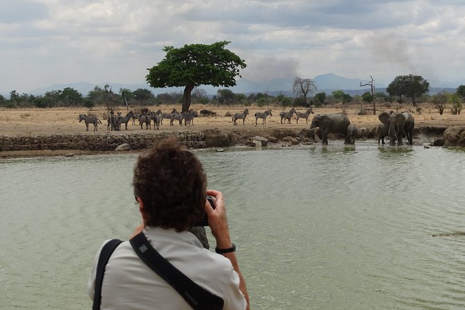3 Days Safari to Mikumi NP - Accommodation Inside the Park - Why Mikumi works for a short Tanzania safari