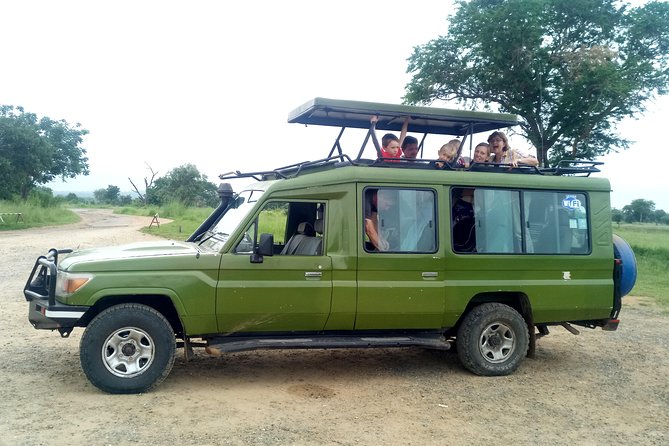 3 Days Safari to Mikumi NP - Accommodation Inside the Park - Day three: sunrise viewing or a direct return