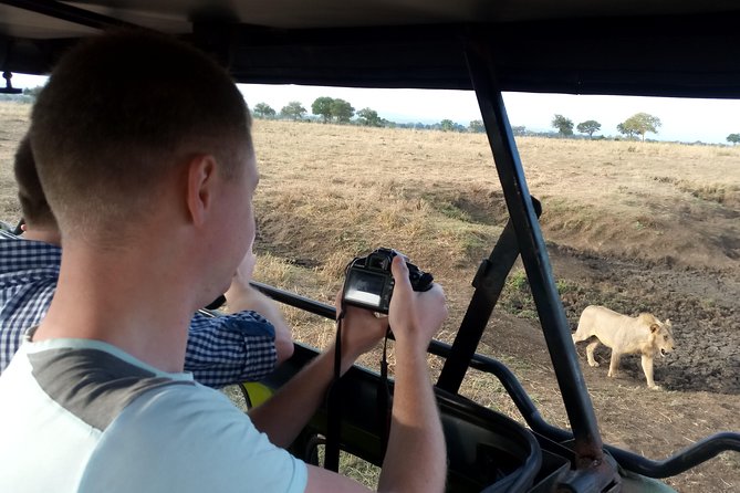 3 Days Safari to Mikumi NP - Accommodation Inside the Park - Who will get the most from this safari