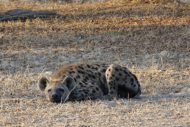 3 Days Safari to Nyerere National Park (Selous Game Reserve) - What the $1,155 price covers