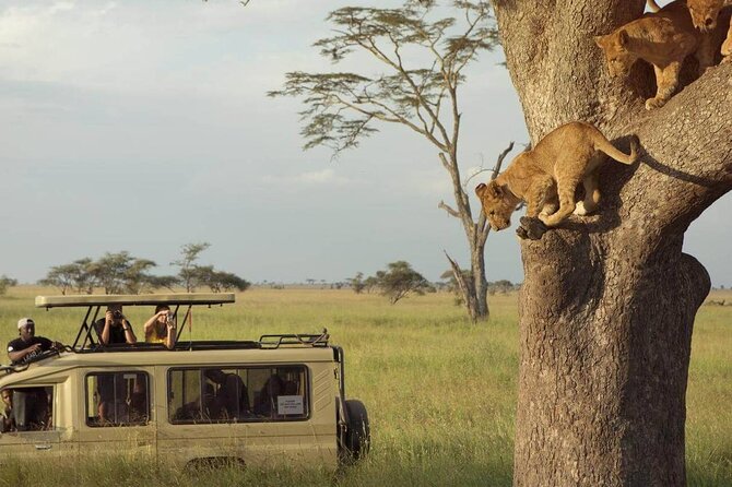 3 Days Safari to Serengeti National Park & Ngorongoro Crater in Tanzania - From Arusha to the open Serengeti