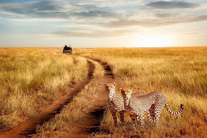 3 Days Safari to Serengeti National Park & Ngorongoro Crater in Tanzania - Ngorongoro Crater and the search for rhino