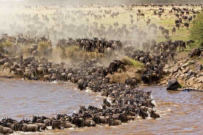 3 days Safari to Tarangire, Ngorongoro and Manyara from Zanzibar - Why this safari works from Zanzibar