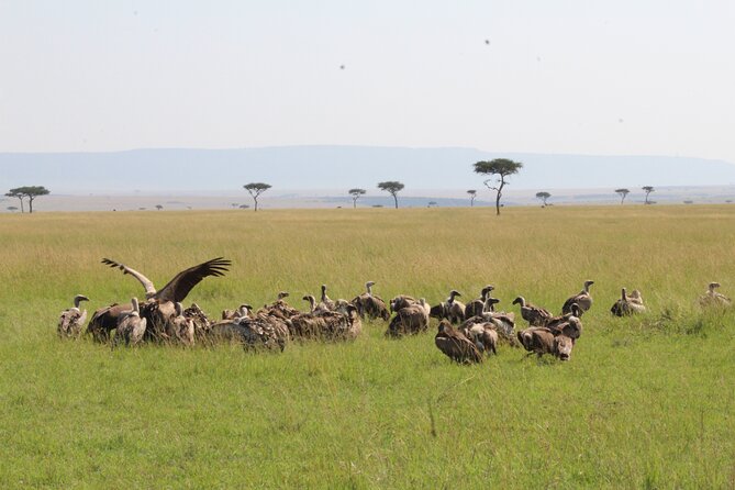 3 Days Safari Tour in Lake Manyara and Ngorngoro - What the 4x4 and group size mean