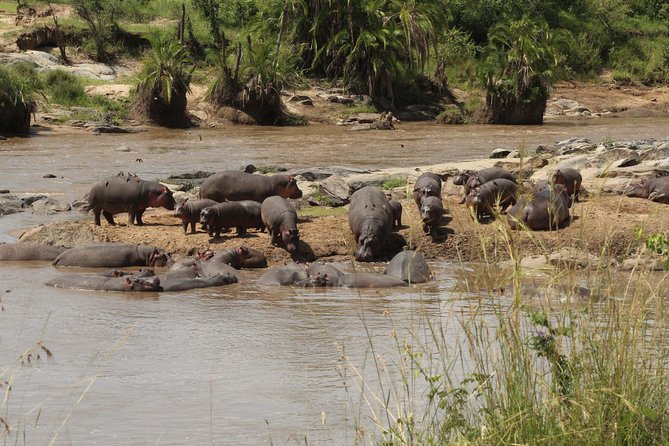 3 Days Safari Tour in Lake Manyara and Ngorngoro - Karatu overnight and the shape of day two