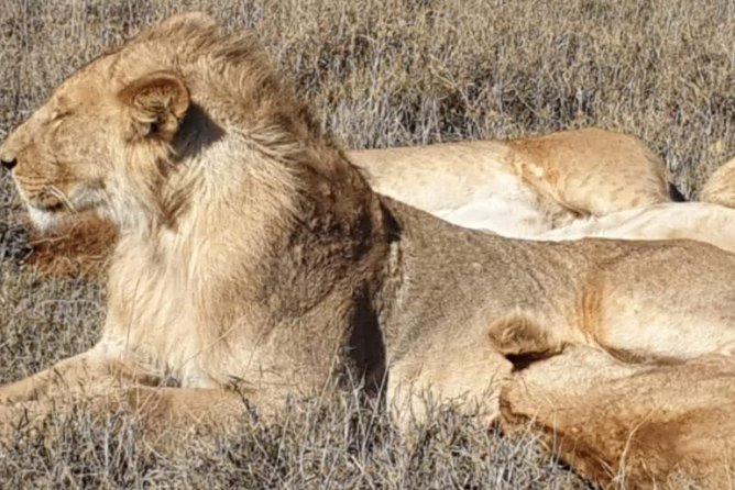 3 Days Selous Game Reserve Fly From Zanzibar - Day 3: Rufiji River or a walking safari