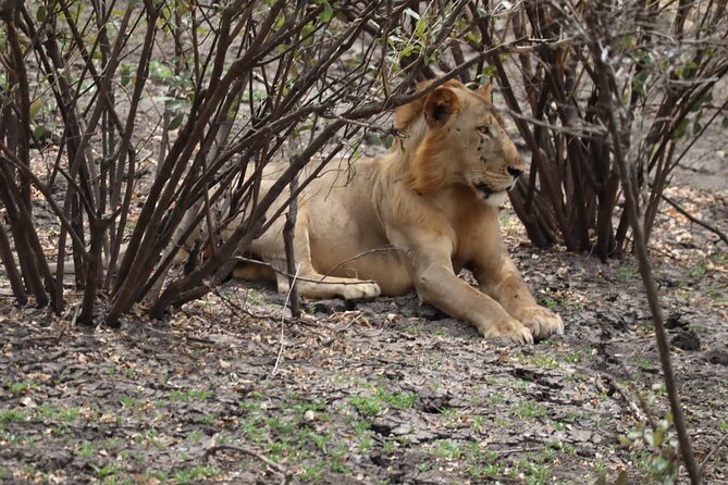 3 Days Selous (Nyerere National Park) - Day one: the long road from Dar es Salaam to the Rufiji River
