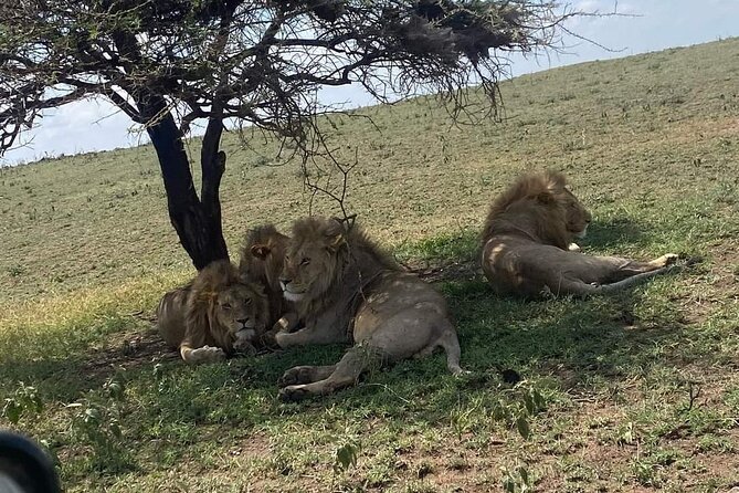 3 Days Selous (Nyerere National Park) - What the $850 price includes
