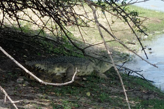 3 Days Selous (Nyerere National Park) - Who should choose this safari