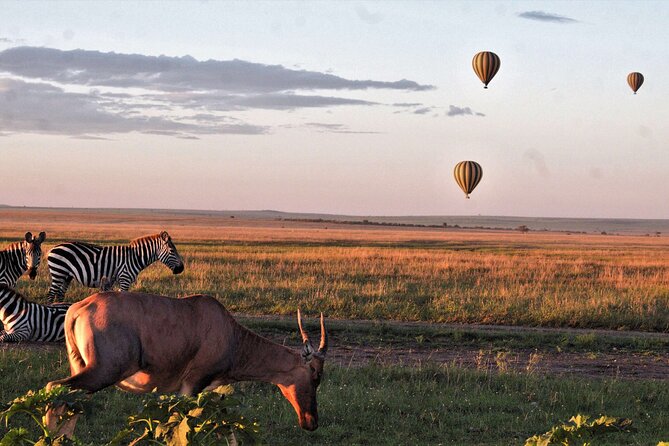 3 Days Serengeti and Ngorongoro Crater Safari from Mwanza to Arusha - Why the Mwanza to Arusha route works