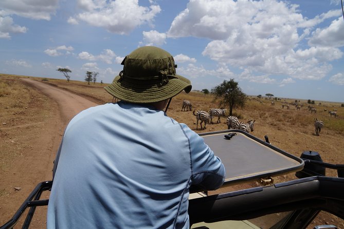 3 Days Serengeti and Ngorongoro Crater Safari from Mwanza to Arusha - Day 2: a concentrated safari inside Ngorongoro Crater