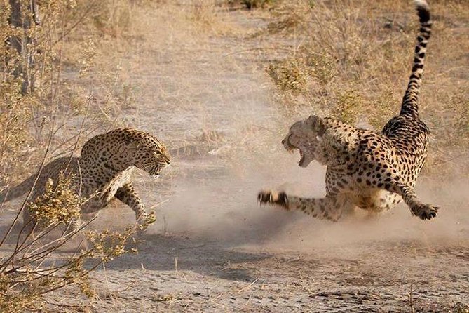 3 Days Serengeti National Park from Zanzibar - From Zanzibar beaches to Serengeti plains