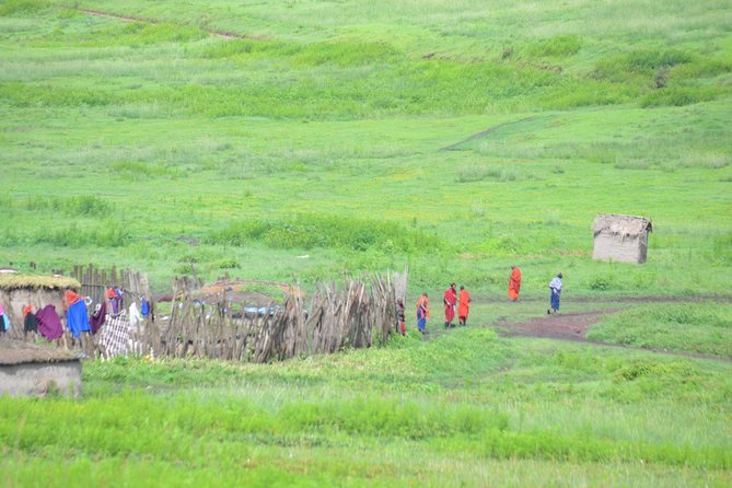 3 Days Serengeti & Ngorongoro Crater group safari - What $800 buys you on this three-day safari
