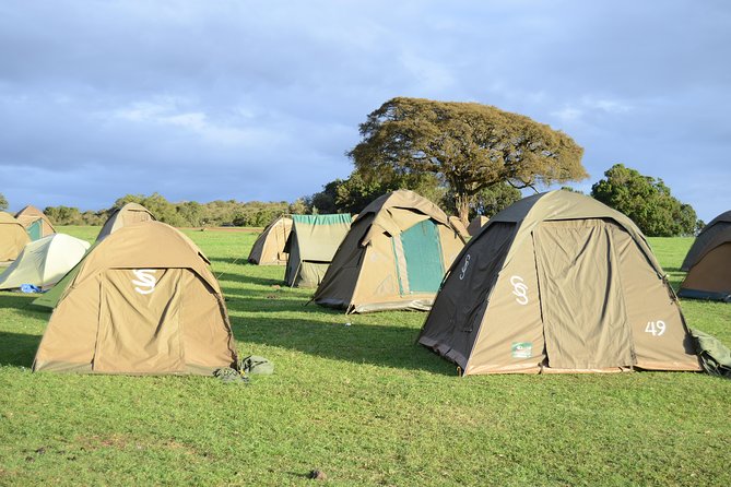 3 Days Serengeti & Ngorongoro Crater group safari - Six hours inside Ngorongoro Crater