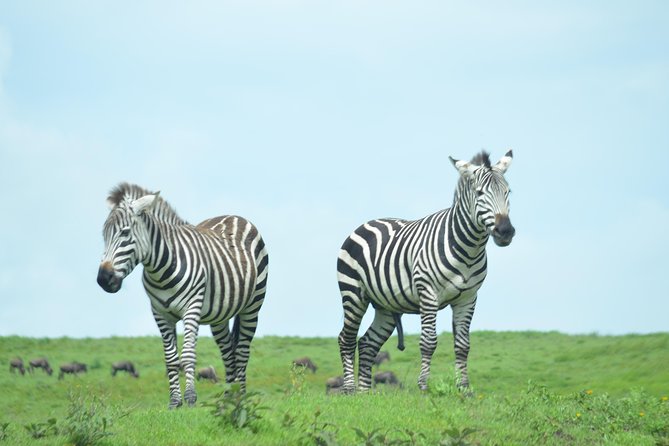 3 Days Serengeti & Ngorongoro Crater group safari - Who will like this trip most