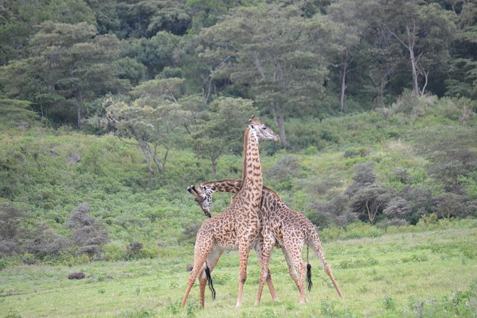 3 Days Serengeti & Ngorongoro Crater group safari - The early road from Arusha to Serengeti