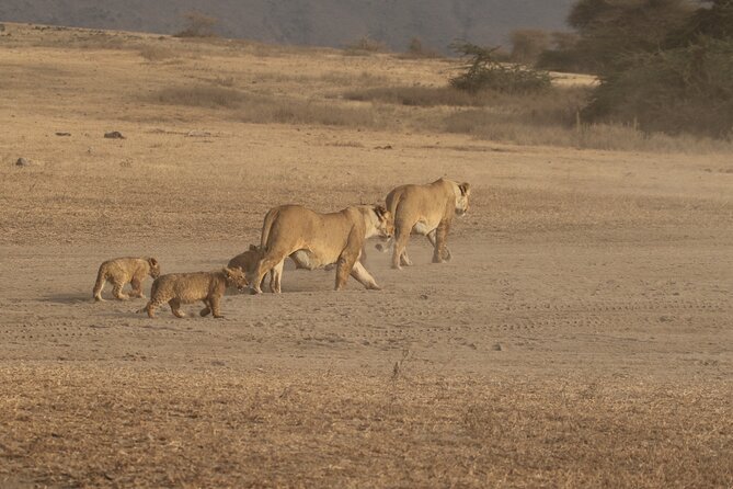 3 Days Serengeti & Ngorongoro Group Camping Safari - Why this short safari works