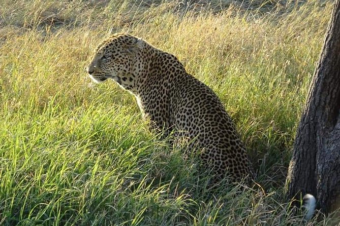 3 Days Serengeti & Ngorongoro Tour - Why the small group matters