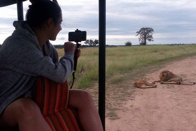 3 Days Serengeti & Ngorongoro Tour - Who should choose this safari?