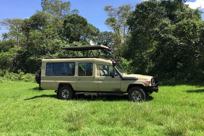 3 Days Serengeti & Ngorongoro Tour - Day 1: Entering Serengeti through the endless plains