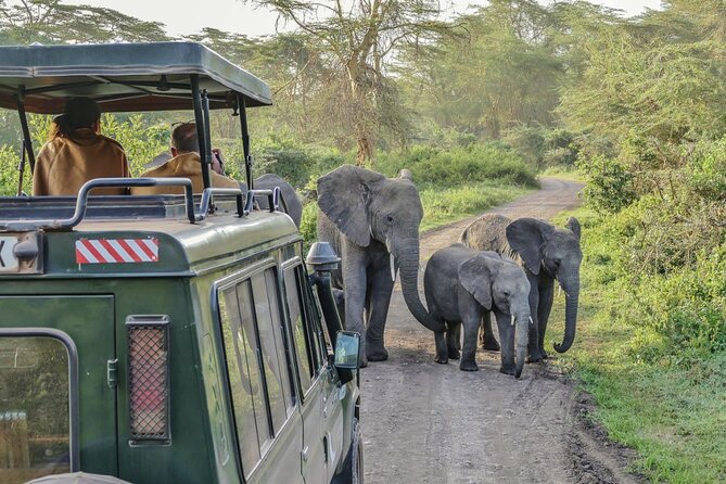 3 Days Serengeti Park & Ngorongoro Crater Adventure Safari - Why this three-day route works