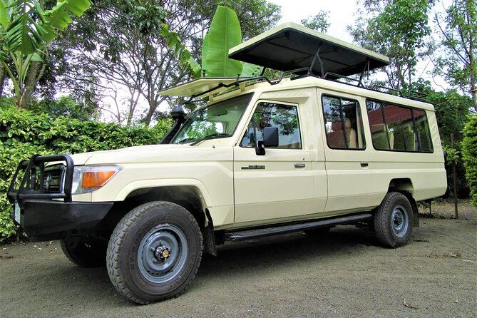 3 Days Serengeti Park & Ngorongoro Crater Adventure Safari - Camping comfort, food, and practical expectations